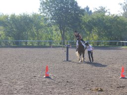 img_0222_web
